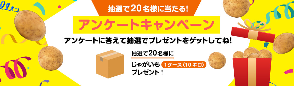 プレゼント詳細
